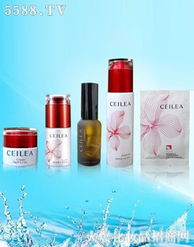 廣州雪盈美容用品 匠心打造美容美體新體驗